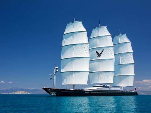 Maltese Falcon